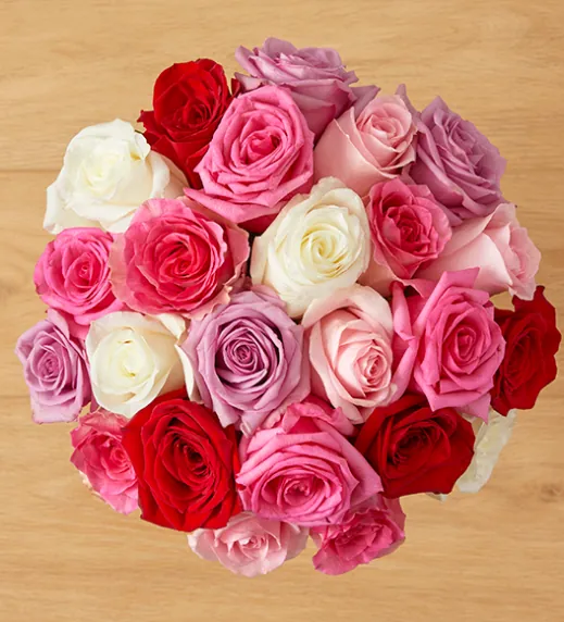 Valentines Day Roses